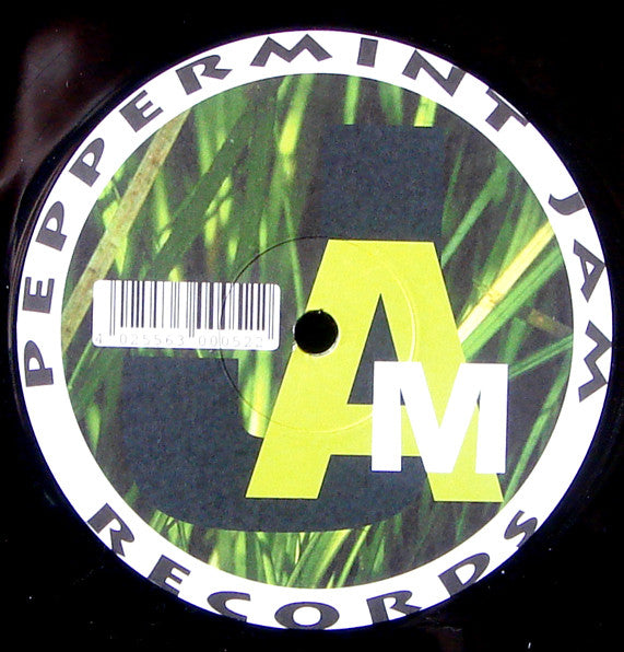Mezzoforte : Gardenparty (12")