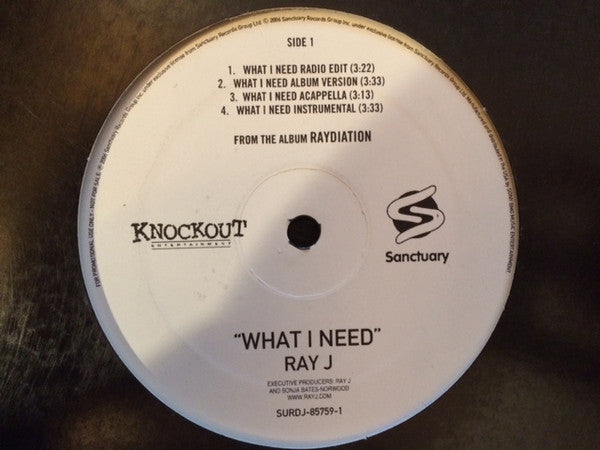 Ray J : What I Need (12", Promo)