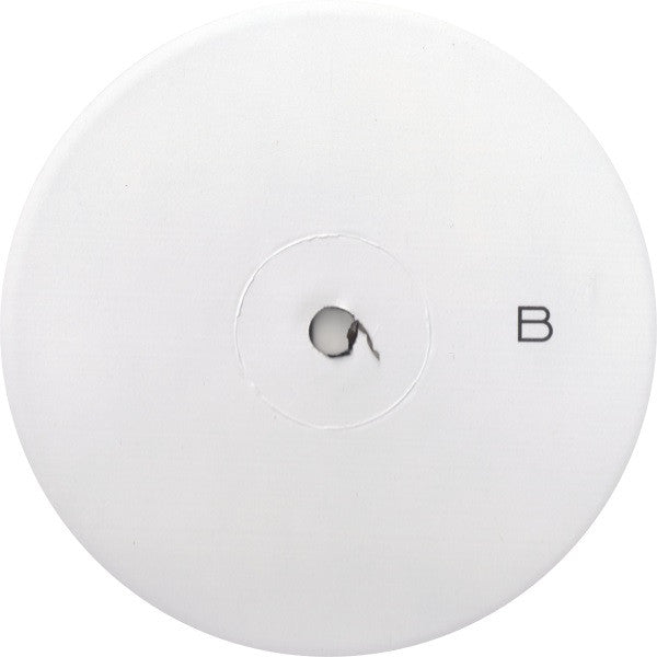 DMX : We In Here (12", W/Lbl)