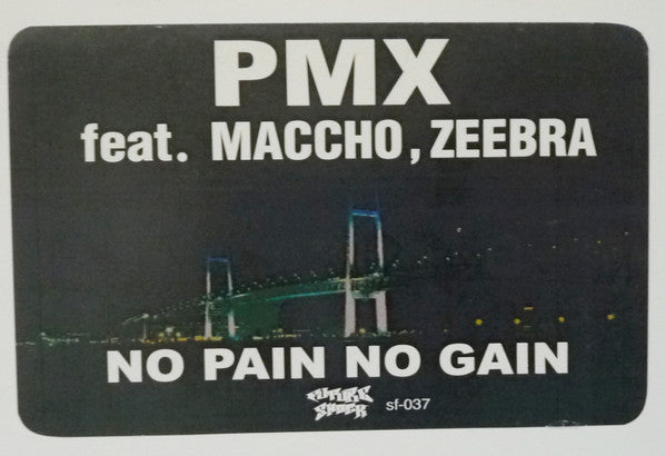 DJ PMX : No Pain, No Gain (12", Maxi, Promo)