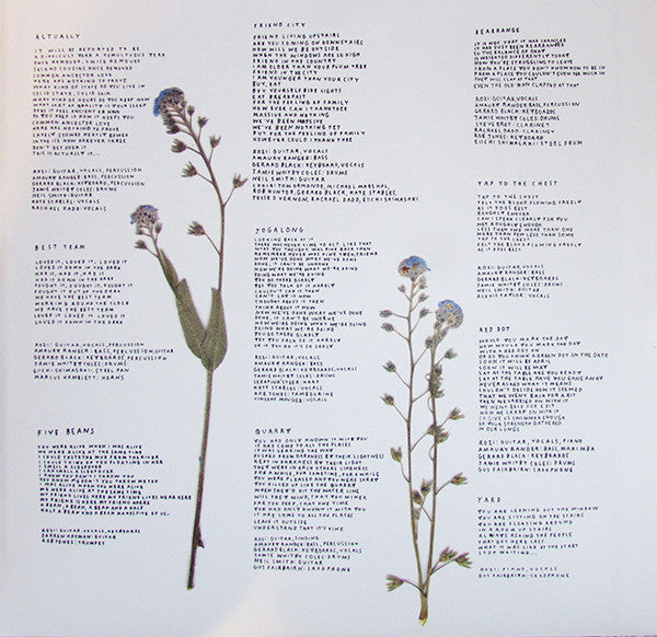 Rozi Plain : Friend (LP, Album)