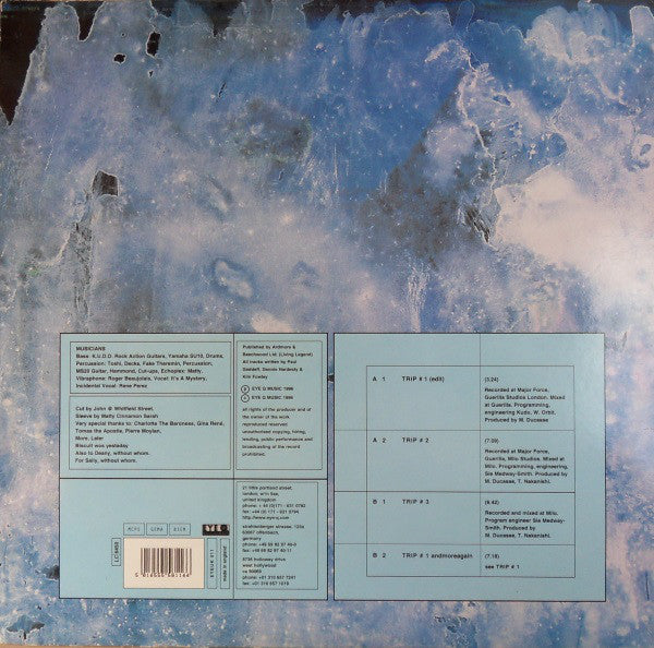 Skylab : The Trip (12")