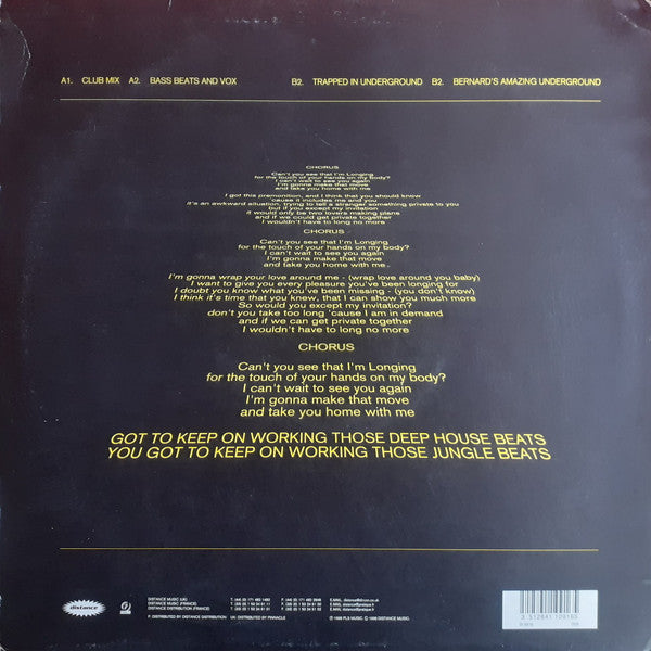 Bernard Badie : Longing (12")