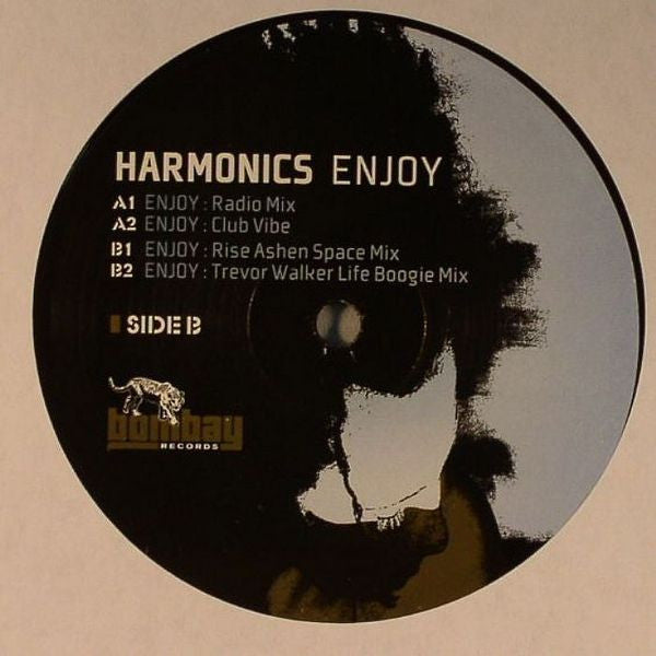 Harmonics : Enjoy (12")