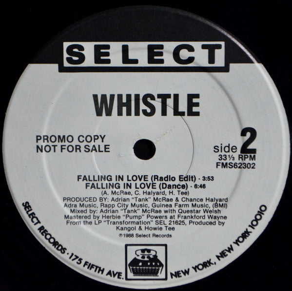 Whistle : Falling In Love (12", Promo)