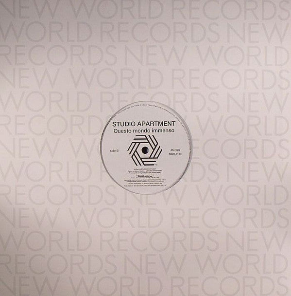 Studio Apartment : We Are Lonely / Questo Mondo Immenso (12")