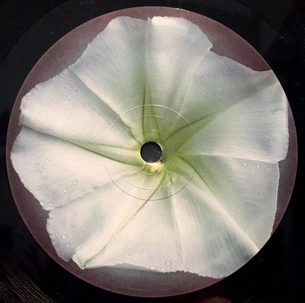 Rays : Moonflowers (12", Single)