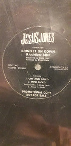 Jesus Jones : Bring It On Down (Liquidizer mix) (12", Promo)