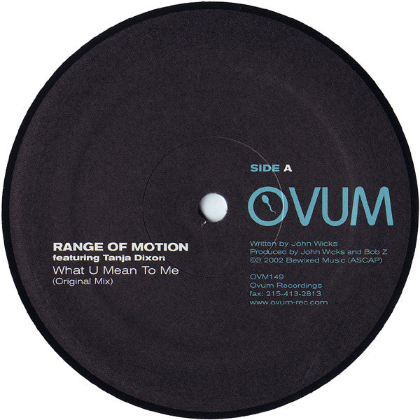 Range Of Motion Featuring Tanja Dixon : What U Mean To Me (12")