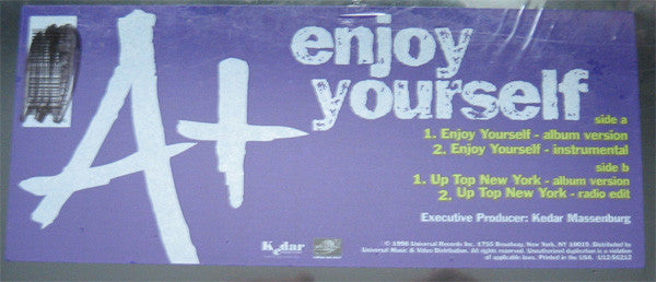 A+ : Enjoy Yourself / Up Top New York (12")