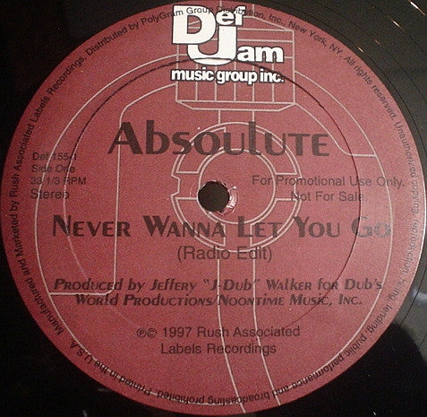 Absoulute : Never Wanna Let You Go (12", Promo)