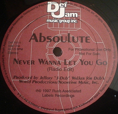 Absoulute : Never Wanna Let You Go (12", Promo)