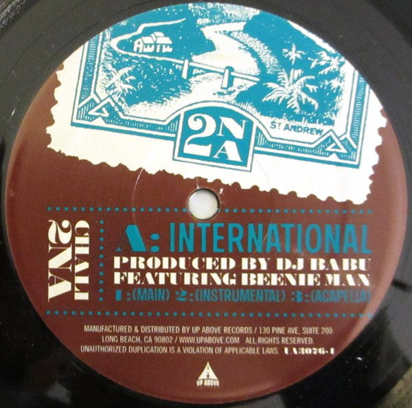 Chali 2NA : International / Controlled Coincidence (12", Single)