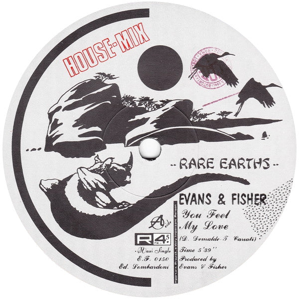 Evans & Fisher : You Feel My Love (House Mix) (12")