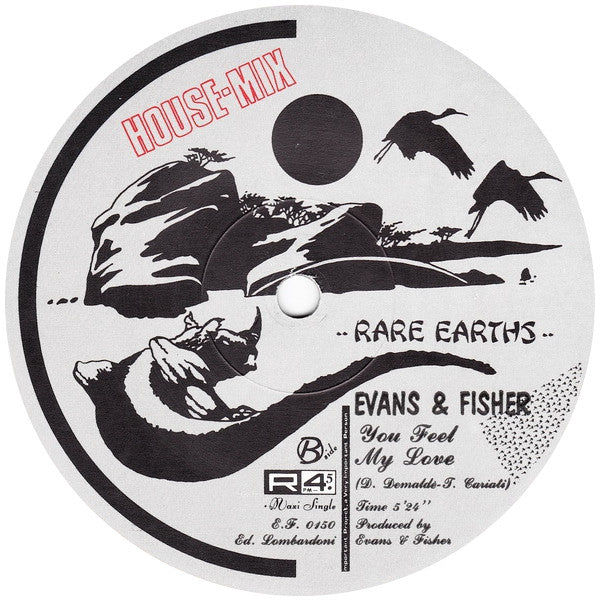 Evans & Fisher : You Feel My Love (House Mix) (12")