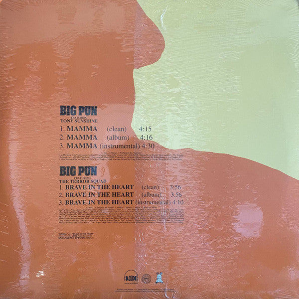 Big Punisher : Mamma (12")