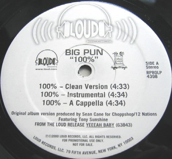 Big Punisher : 100% (12", Promo)