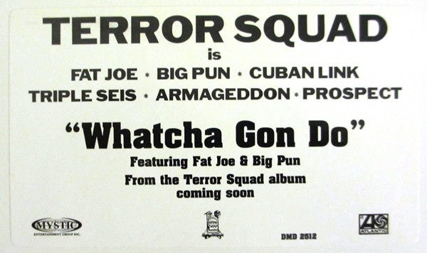 Terror Squad : Whatcha Gon Do (12", Promo)