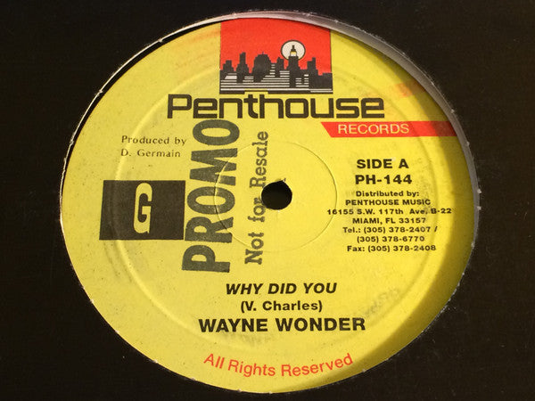 Wayne Wonder : Why Did You (12")