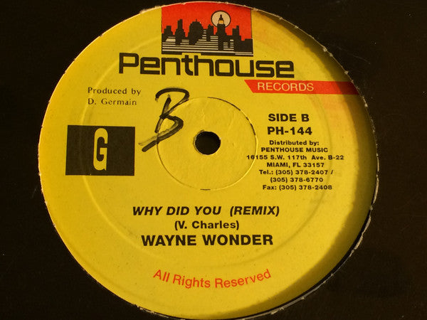 Wayne Wonder : Why Did You (12")