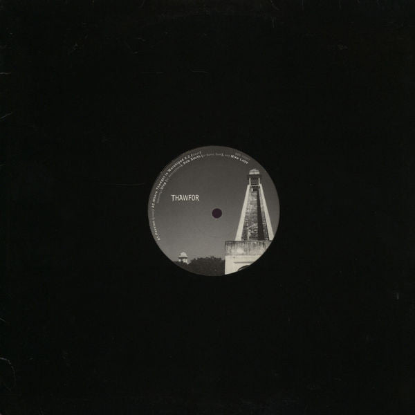 Thawfor : Passion (12")