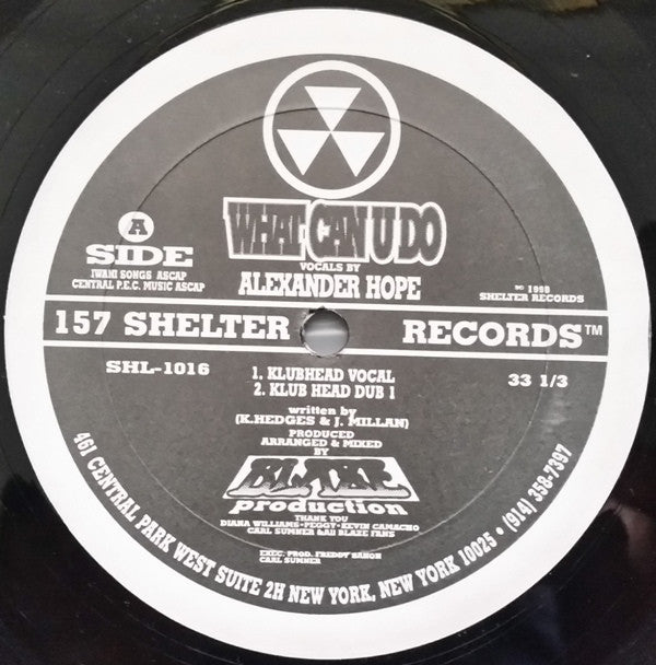 Blaze Featuring Alexander Hope : What Can U Do (12")