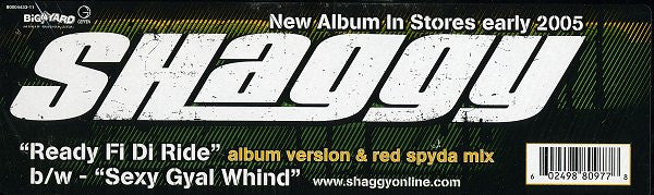 Shaggy : Ready Fi Di Ride (12")
