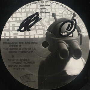 Descriptive image text