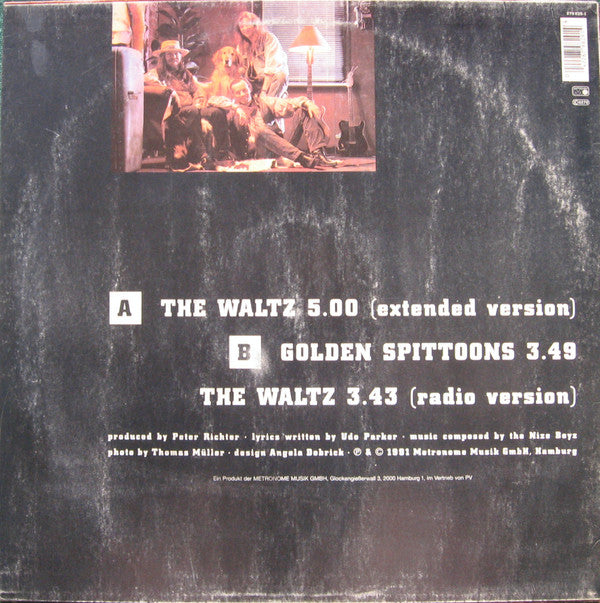 Nize Boyz : The Waltz (12", Maxi)