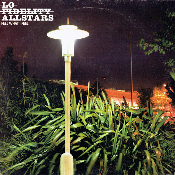 Lo-Fidelity Allstars : Feel What I Feel (12")