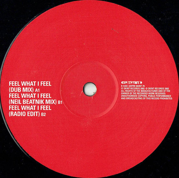 Lo-Fidelity Allstars : Feel What I Feel (12")