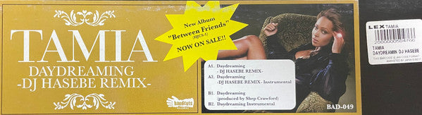 Tamia : Daydreaming (12", Single)