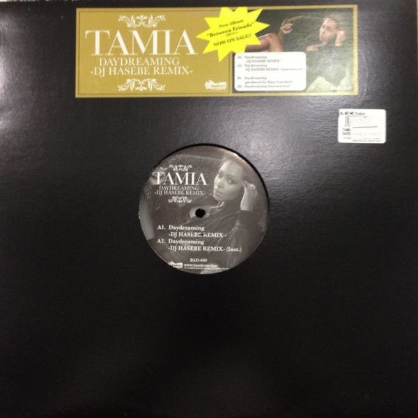 Tamia : Daydreaming (12", Single)