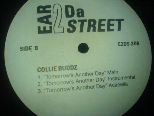Sean Kingston / Collie Buddz : Beautiful Girls / Tomorrow's Another Day  (12", Unofficial)